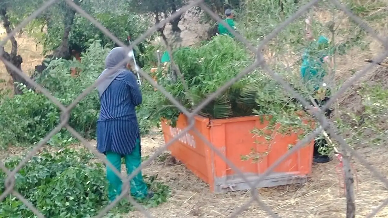 Denuncian que trabajadores del plan de empleo de Toledo limpian jardines privados
