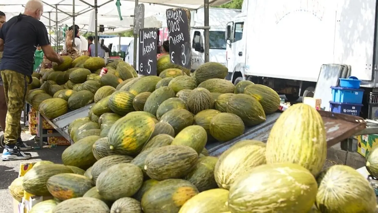 Cooperativas denuncian una "bajada injustificada" de los precios del melón y la sandía
