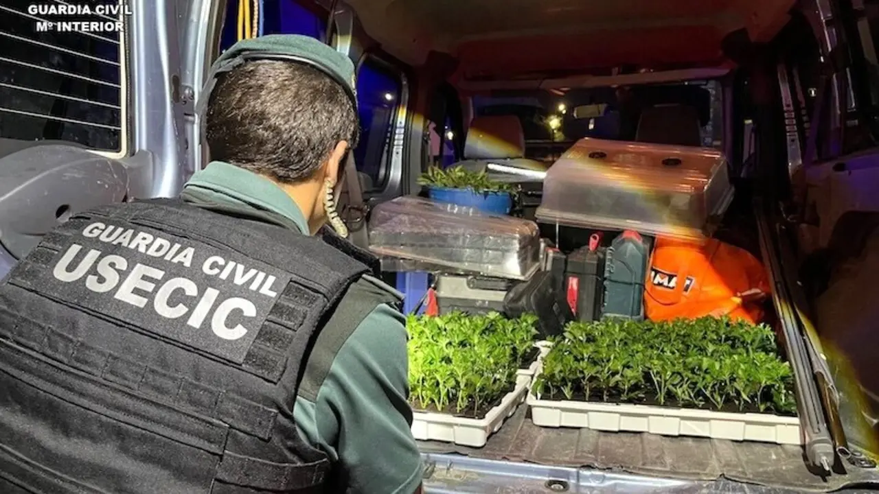 Dos detenidos en El Pozo de Guadalajara con 400 plantas de marihuana en una furgoneta