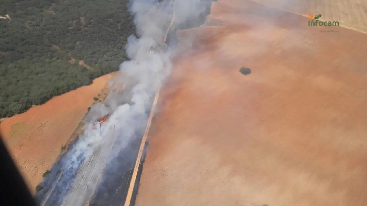 Suspendida la alta velocidad Madrid-Barcelona por un incendio forestal en Yebes (Guadalajara)