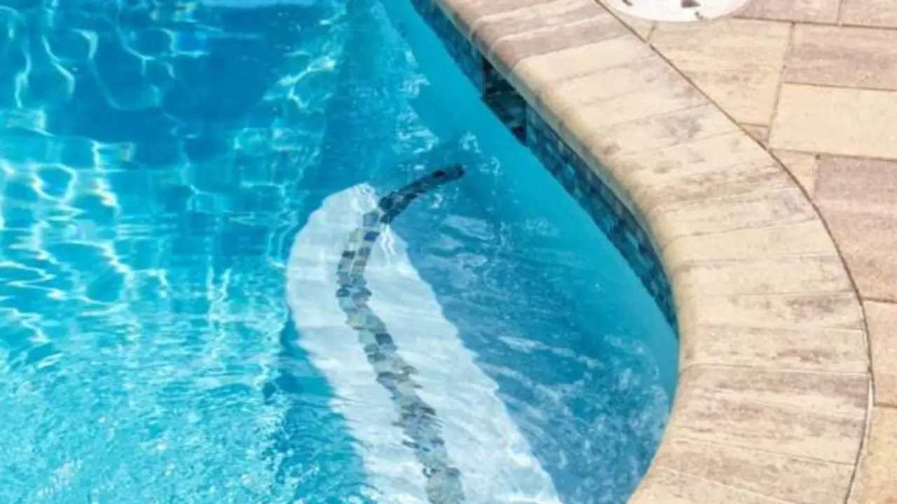 Hallan el cadáver de una mujer ahogada en extrañas circunstancias en su piscina