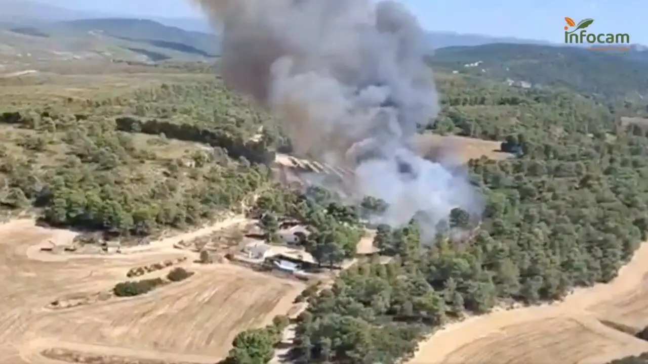 Varios medios trabajan en un incendio forestal en el paraje Cerro Piojo de Almansa (Albacete)