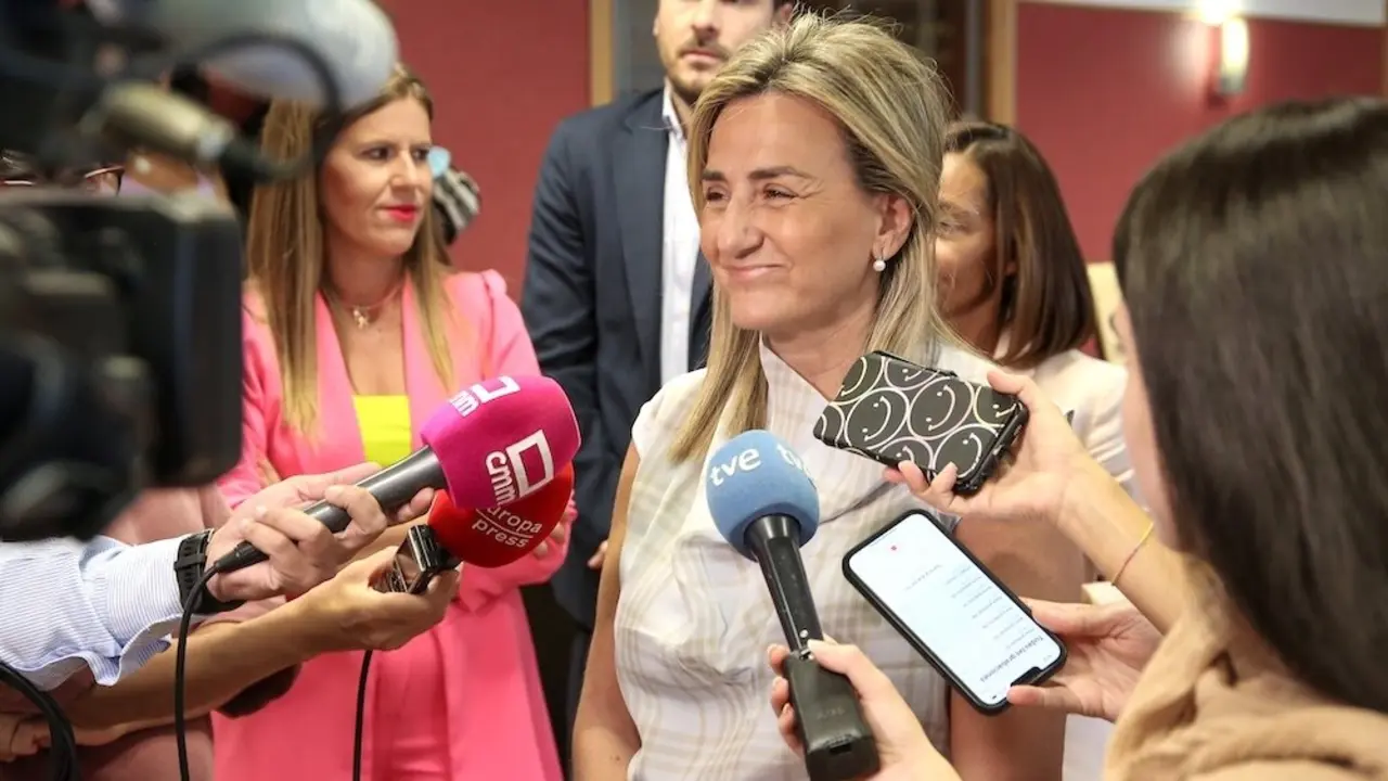 La delegada del Gobierno en Castilla-La Mancha, Milagros Tolón, atendiendo a los medios de comunicación este miércoles