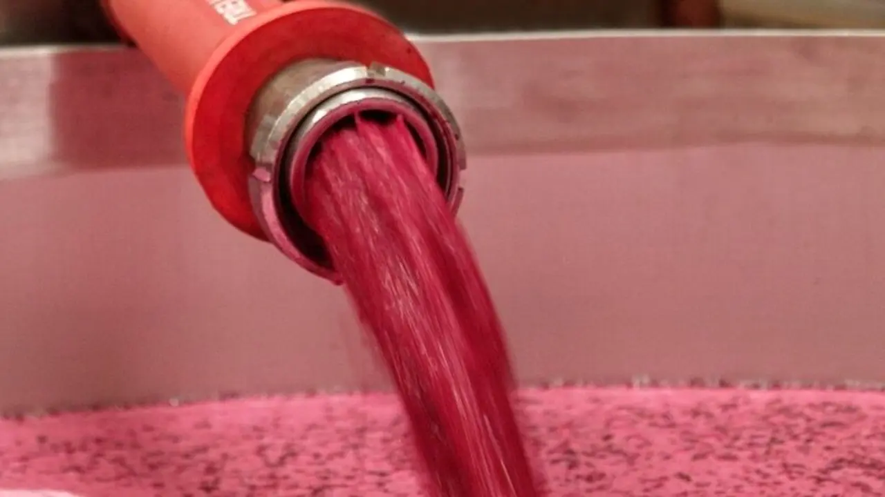 Instan a no vender vino por debajo de los costes de producción en plena vendimia