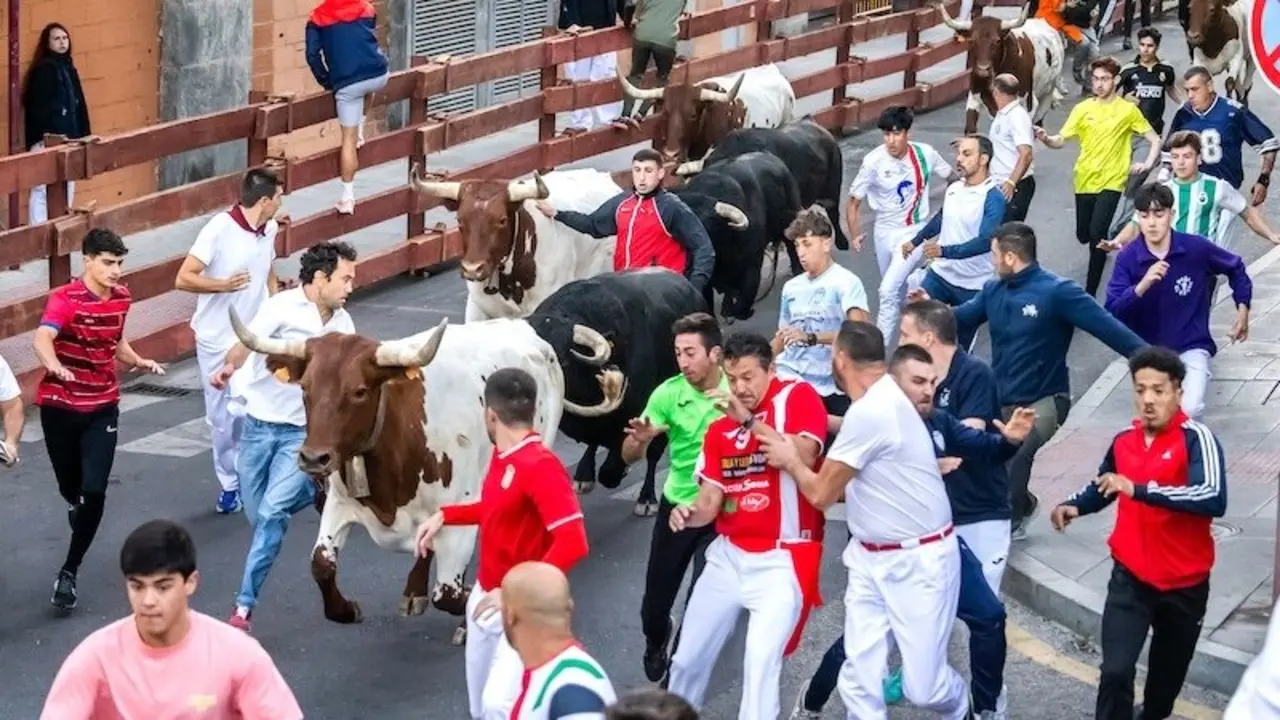 El primer encierro con toros en puntas por el casco Guadalajara, sin incidentes