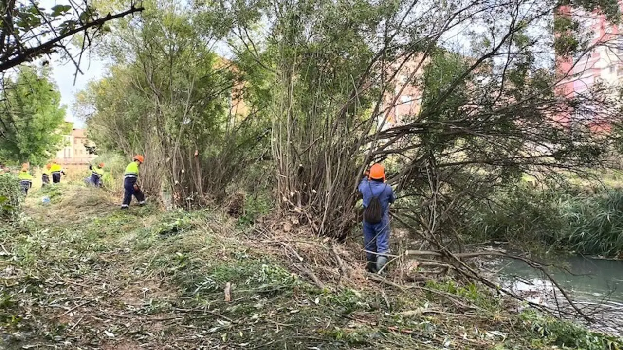 La CHT comienza los trabajos de conservación de cauces en la provincia de Guadalajara