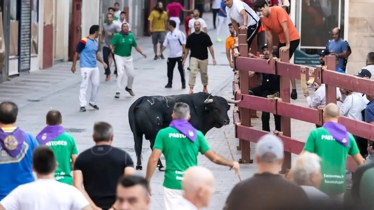 Guadalajara celebra un segundo encierro marcado por la resistencia del toro número 24