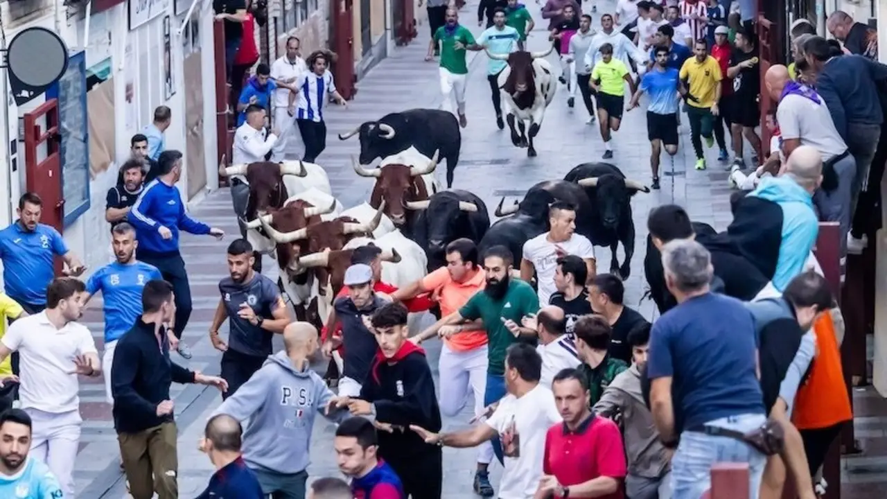 Guadalajara celebra un masivo tercer encierro rápido, limpio y sin incidentes