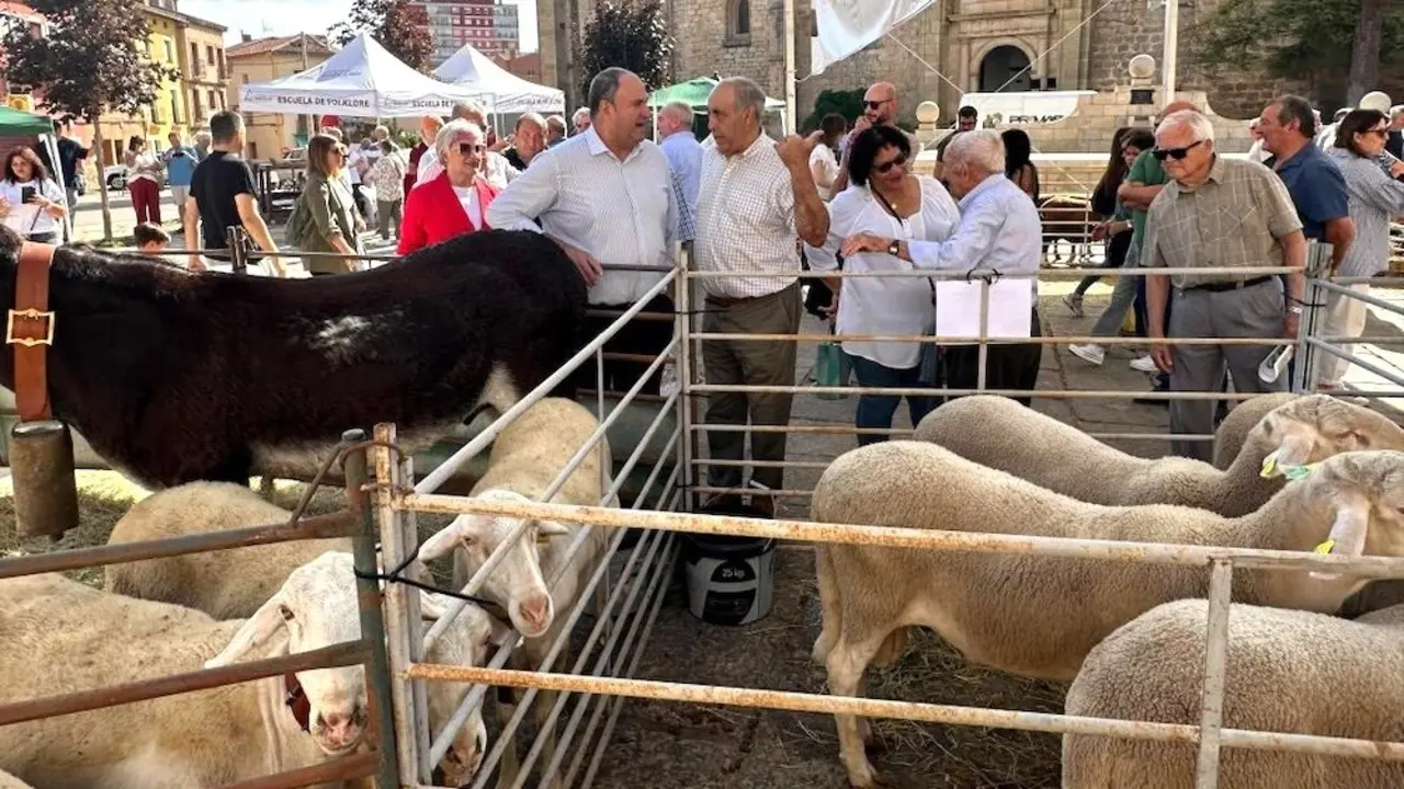 El consejero de Agricultura Ganadería y Desarrollo Rural, Julián Martínez Lizán, en la inauguración de la tercera edición de la Feria Ganadera de la comarca de Molina de Aragón (Guadalajara)