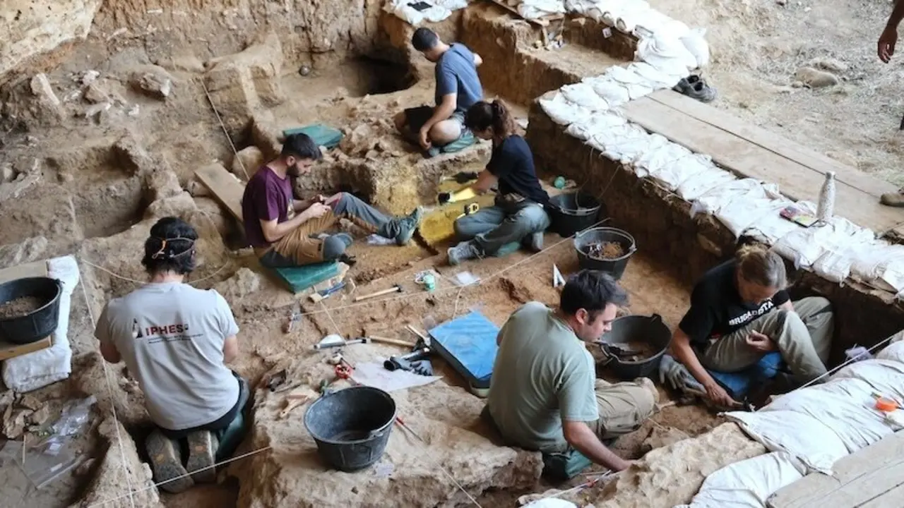 Restos de La Malia revelan los caballos ibéricos más antiguos hallados hasta hoy