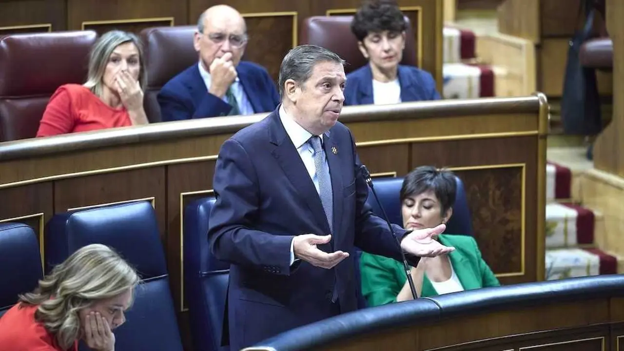 El ministro de Agricultura, Luis Planas, interviene durante la sesión de control al Gobierno, en el Congreso de los Diputados - EP/Jesús Hellín