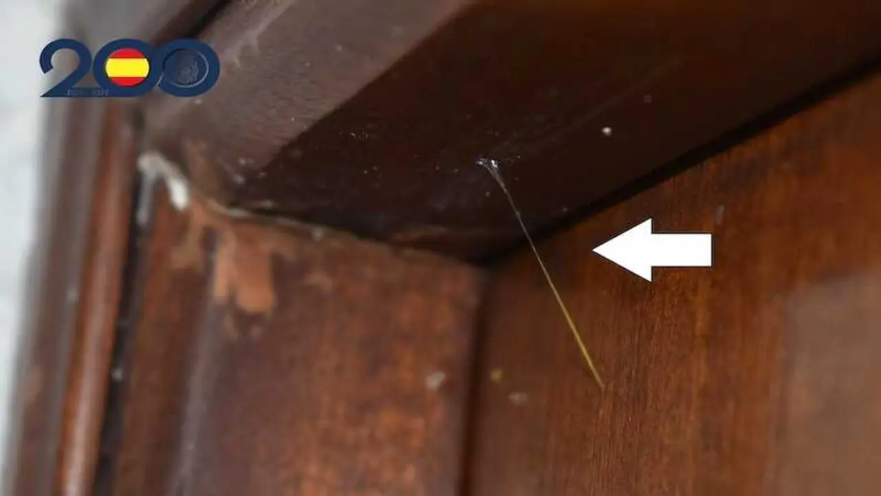 Cae una red que robaba en viviendas previamente marcadas con un hilo 'invisible'