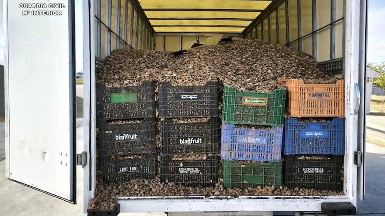 Dos detenidos por el robo de 5.400 kilos de almendra en una parcela de Barrax (Albacete)