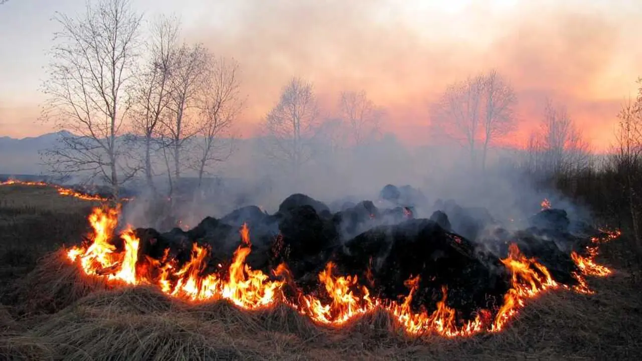 Castilla-La Mancha prohíbe la quema de restos vegetales forestales hasta el día 6
