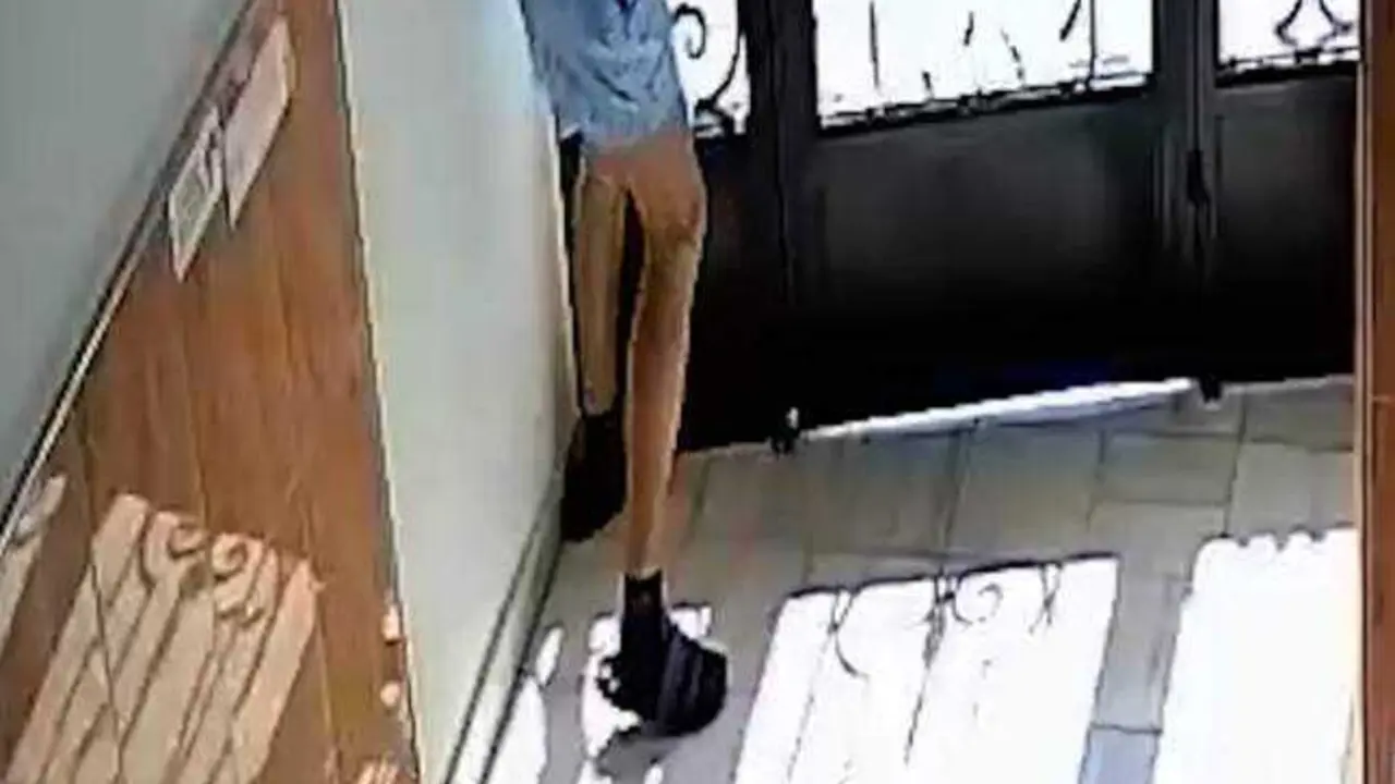 VIDEO. Sigue a una mujer hasta su casa y la apuñala para robarle joyas y el móvil