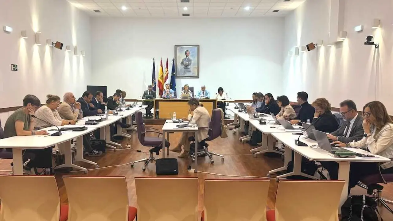 En la imagen un instante del Pleno del Ayuntamiento de Guadalajara celebrado este viernes