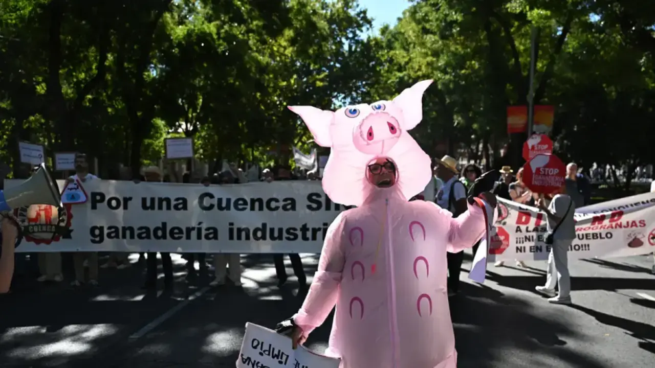 La España rural clama en Madrid contra las macroplantas que arrasan sus pueblos
