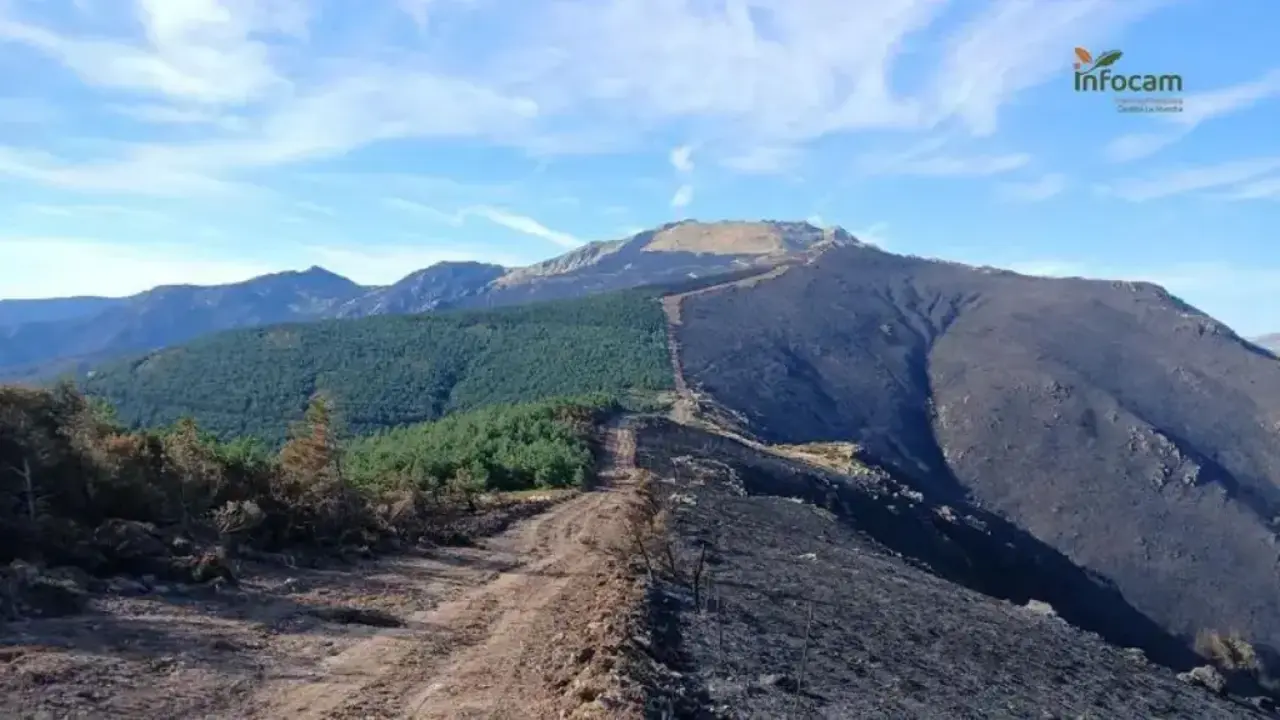 El Cardoso de la Sierra (Guadalajara) pedirá la declaración de zona catastrófica por el incendio de Pico del Lobo