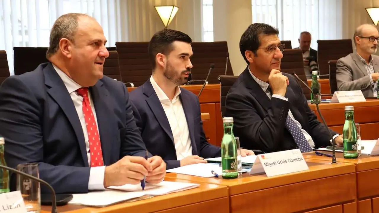 El vicepresidente segundo del Gobierno de Castilla-La Mancha, José Manuel Caballero (d), y el consejero de Agricultura, Ganadería y Desarrollo Rural, Julián Martínez Lizán (i), participan, en el Parlamento del Estado de Burgenland, en la reunión del Intergrupo del Vino del Comité Europeo de las Regiones