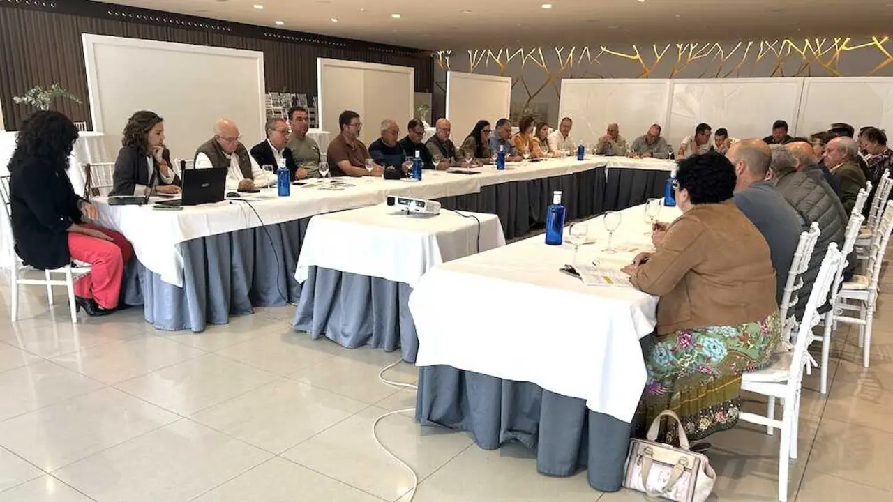 Asamblea Sectorial del Aceite de Oliva de Cooperativas Agro-alimentarias Castilla-La Mancha, celebrada en Alcázar de San Juan (Ciudad Real)