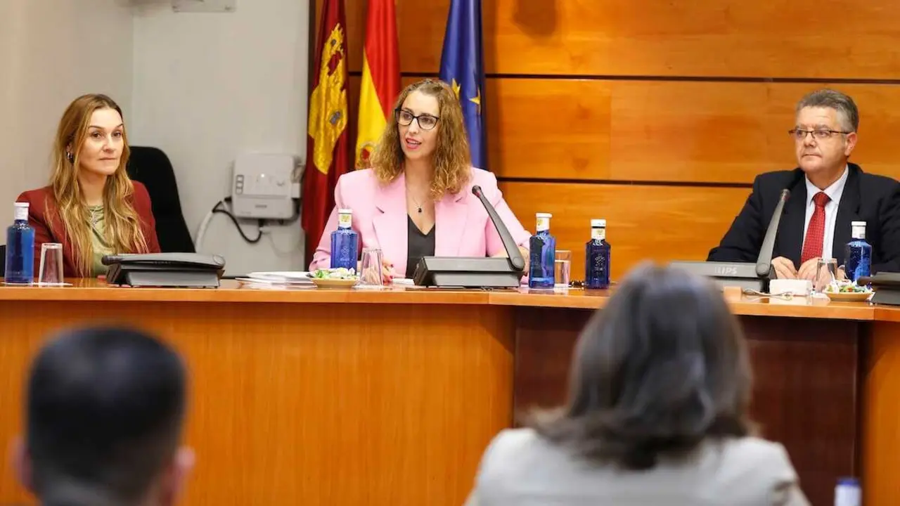 La consejera de Igualdad de Castilla-La Mancha, Sara Simón, durante su comparecencia en la Comisión de Presupuestos de las Cortes de Castilla-La Mancha