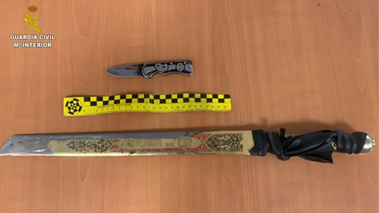 Dos detenidos en Tomelloso (Ciudad Real) por delitos de lesiones valiéndose de un perro