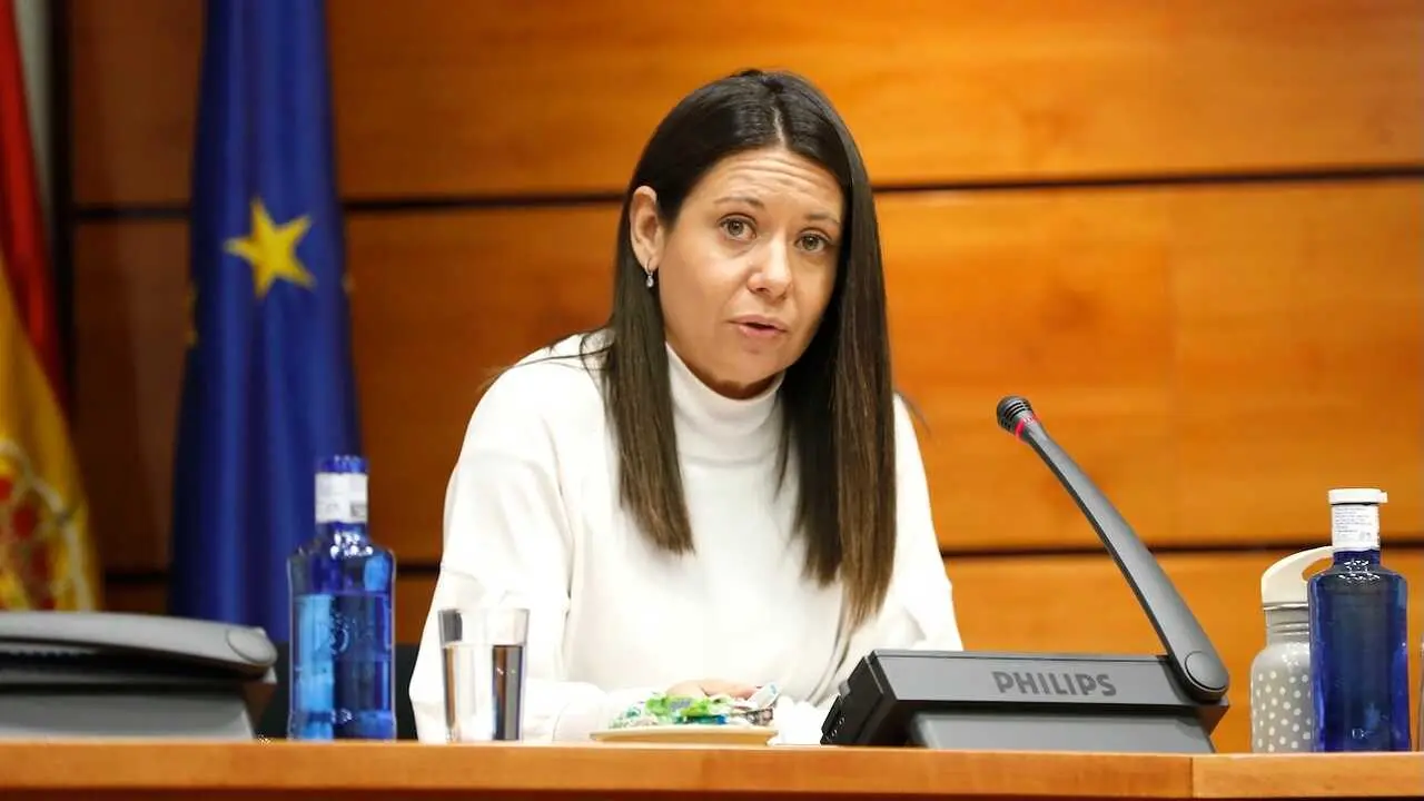 La consejera de Bienestar Social de Castilla-La Mancha, Bárbara García Torijano, durante su comparecencia en la Comisión de Presupuestos de las Cortes regionales