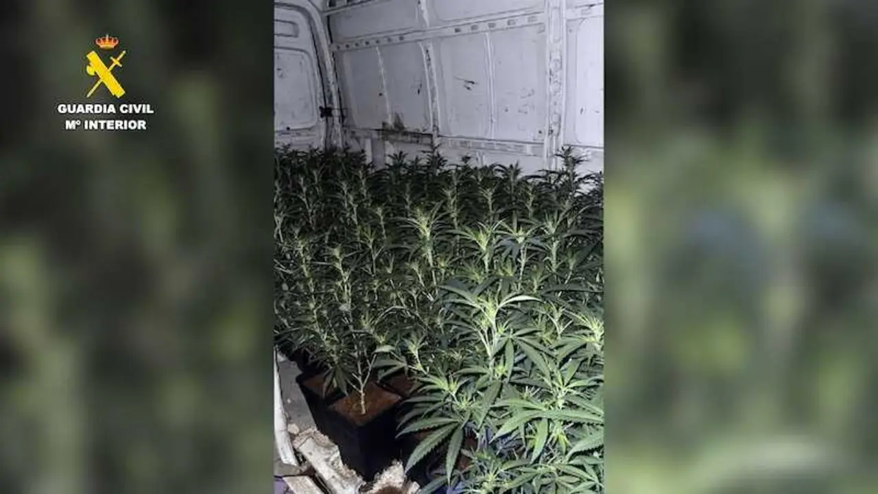 Dos detenidos con 124 plantas de marihuana en una furgoneta de Madrid a Escalona (Toledo)