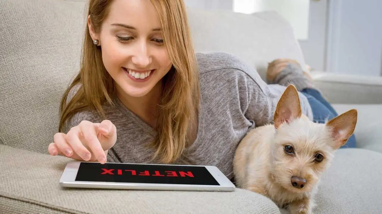  Disfruta de más suscripciones digitales por menos con Sharingful 