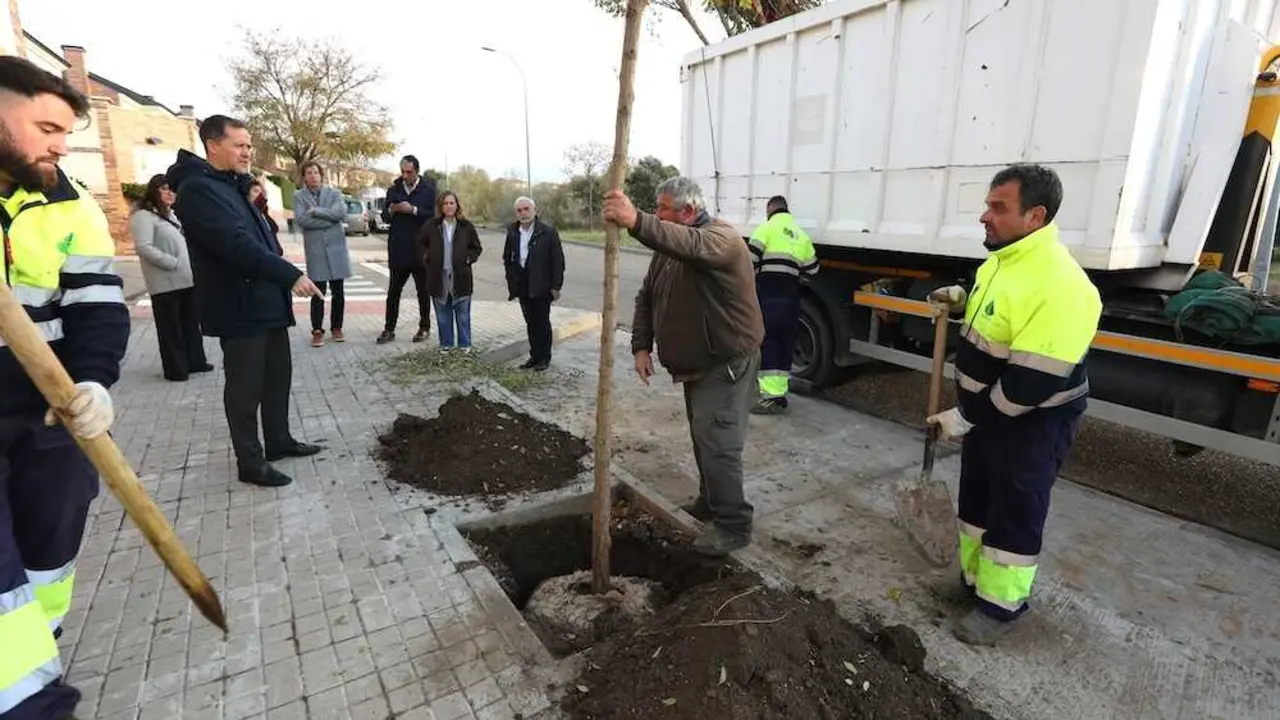 El tercer Plan de Arbolado de Toledo prevé 2.000 nuevos árboles hasta abril de 2026