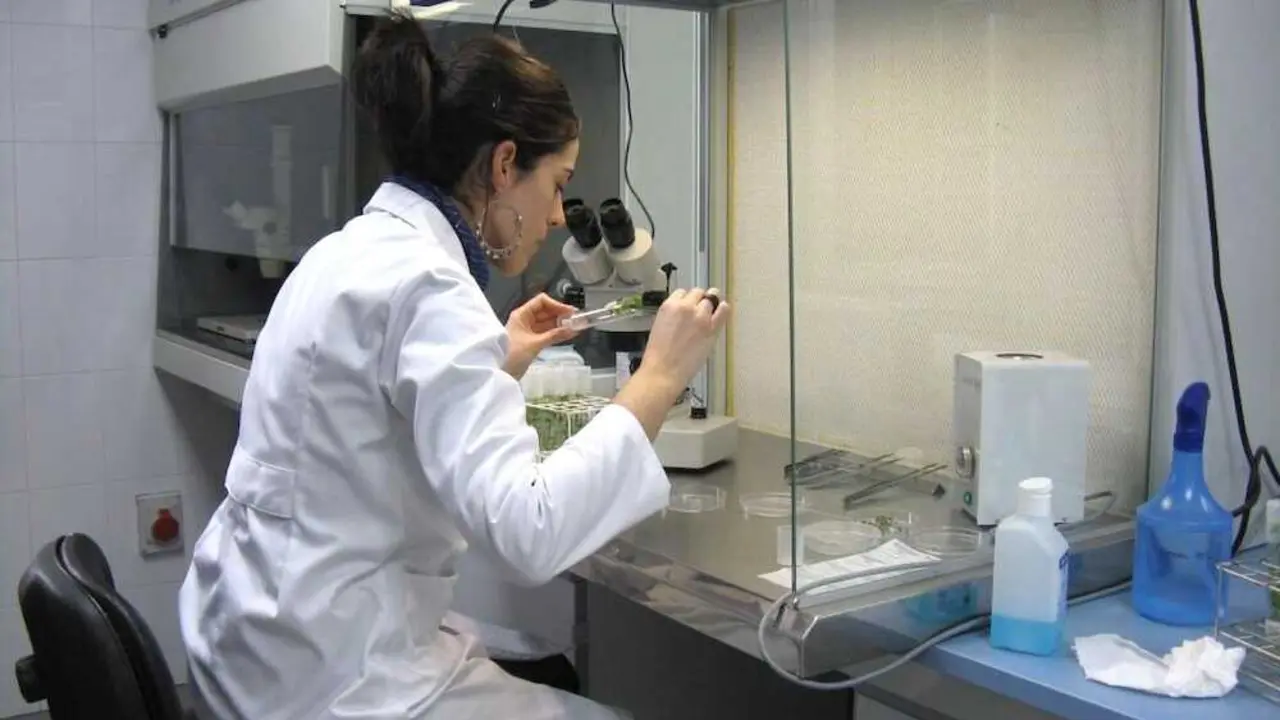 El Iriaf convoca siete nuevas plazas para el desarrollo de proyectos específicos de I+D