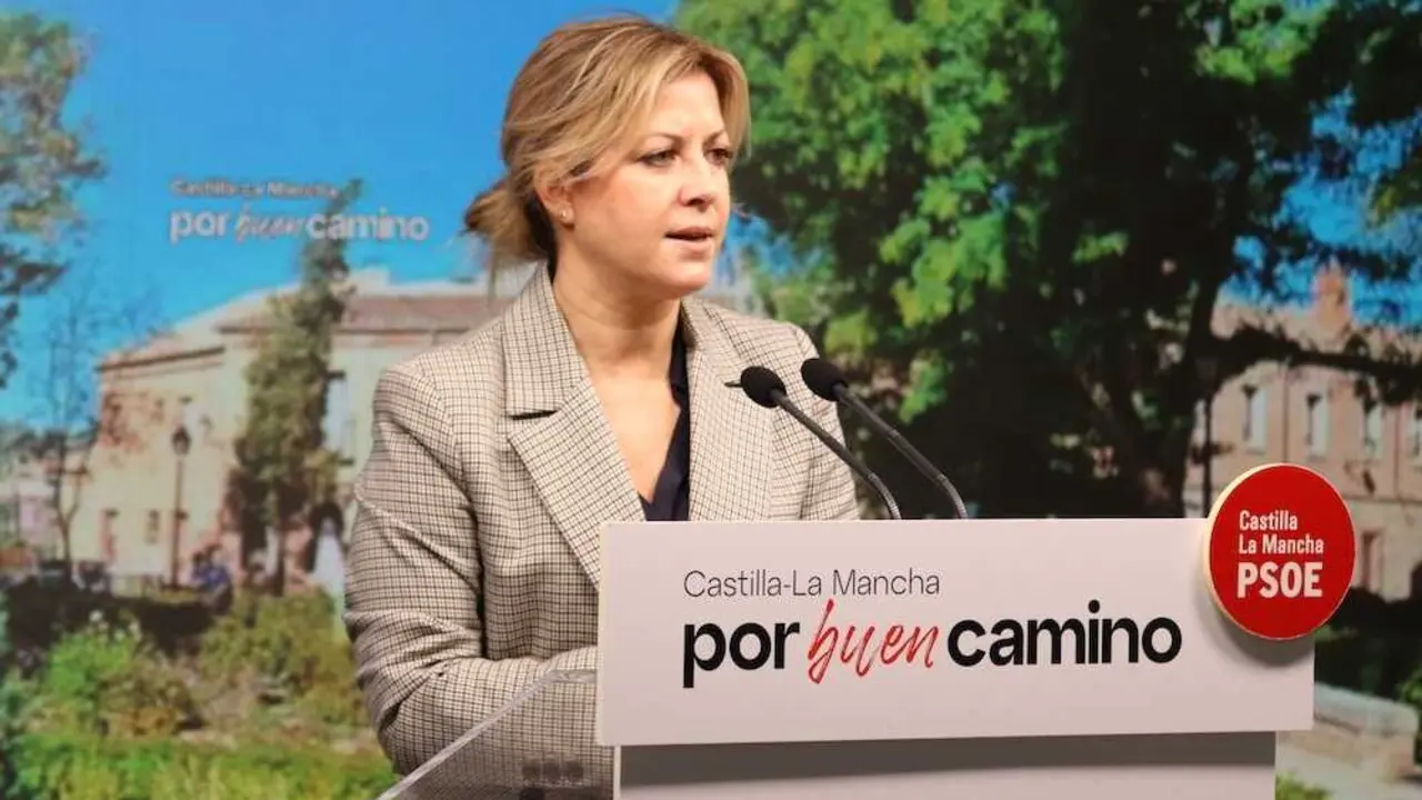 La portavoz del PSOE en las Cortes de Castilla-La Mancha, Ana Isabel Abeng&oacute;zar, durante la rueda de prensa que ha ofrecido en la sede de los socialistas en Toledo