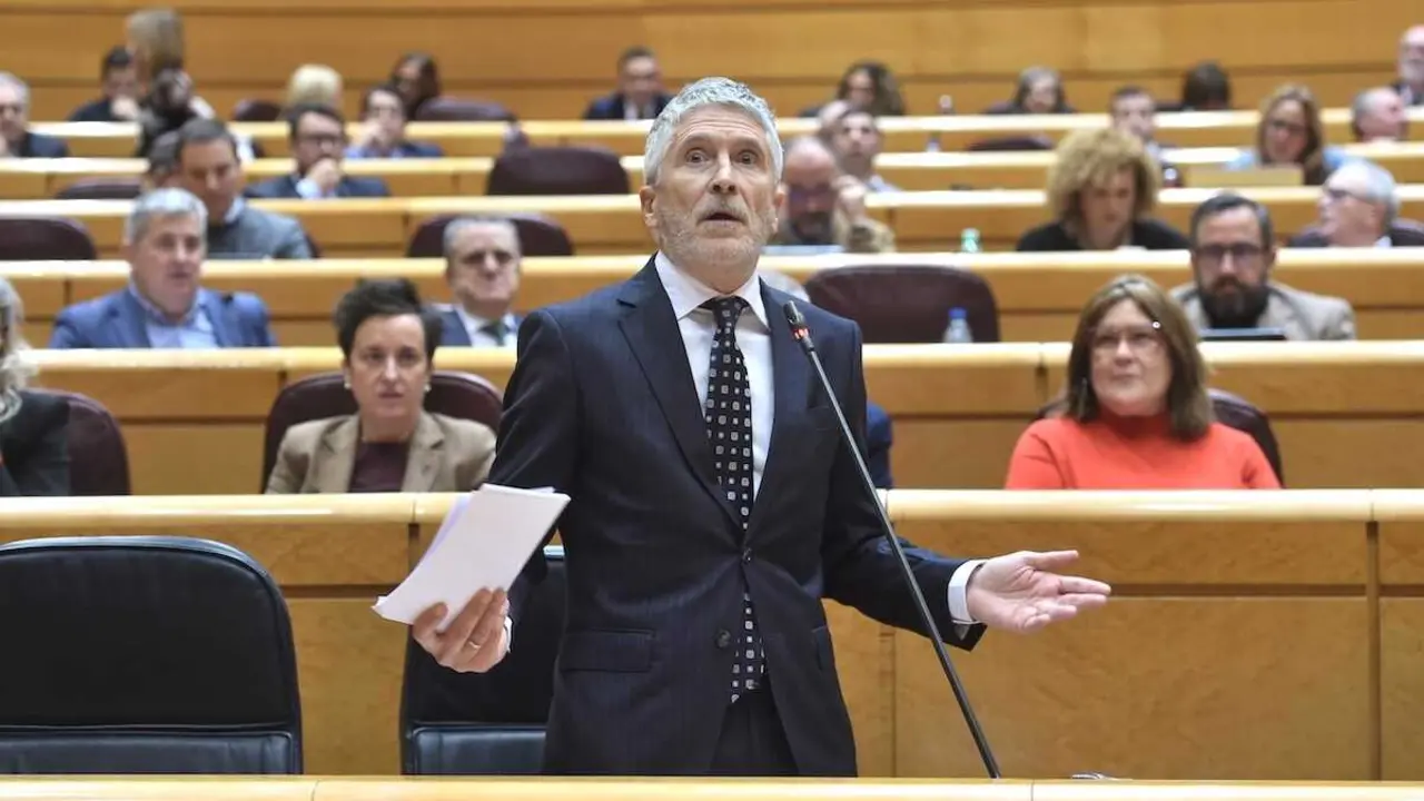 El ministro del Interior, Fernando Grande-Marlaska, durante su intervenci&oacute;n en el Senado - EP/Gustavo Valiente