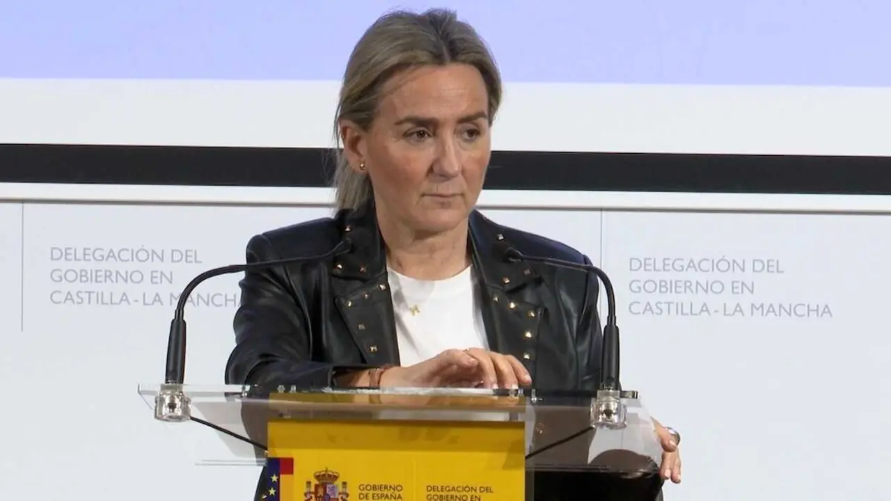 La delegada del Gobierno en Castilla-La Mancha, Milagros Tol&oacute;n, este mi&eacute;rcoles durante una rueda de prensa en Toledo