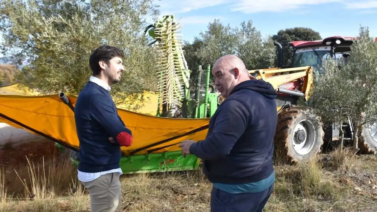 La Diputaci&oacute;n de Cuenca impulsa el aceite de La Alcarria con 60.000 euros en 2026