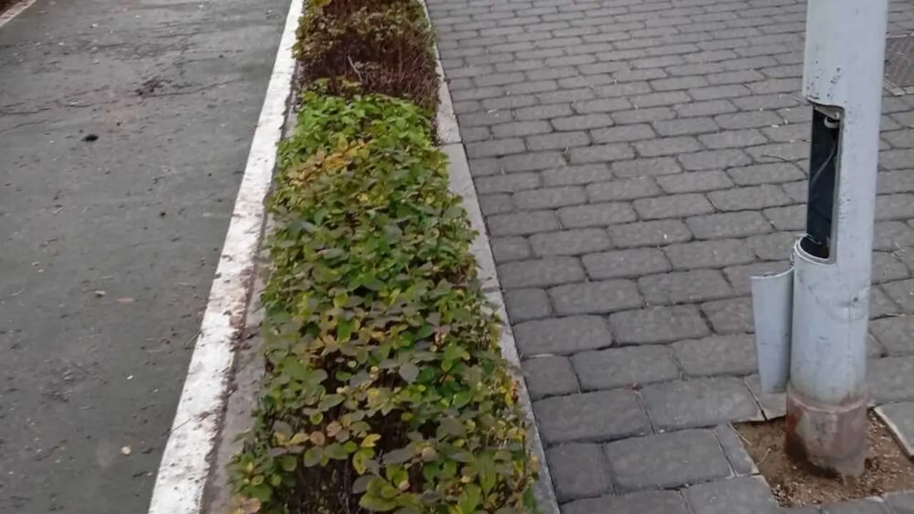 El Ayuntamiento de Albacete condena los nuevos robos de cable y pide m&aacute;s civismo y responsabilidad