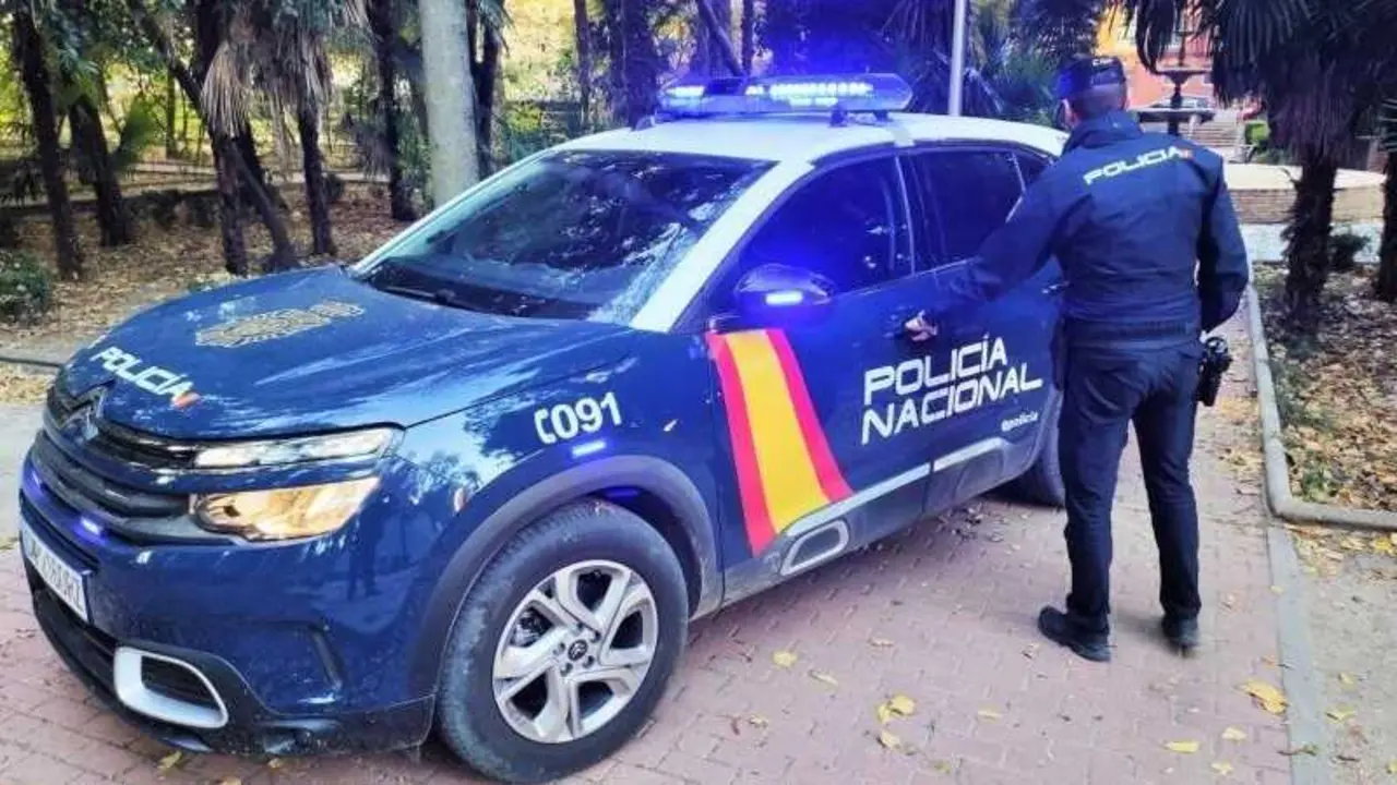 Dos detenidos por un robo con violencia a un repartidor de env&iacute;os a domicilio, polic&iacute;a nacional, patrulla, agente, detenido