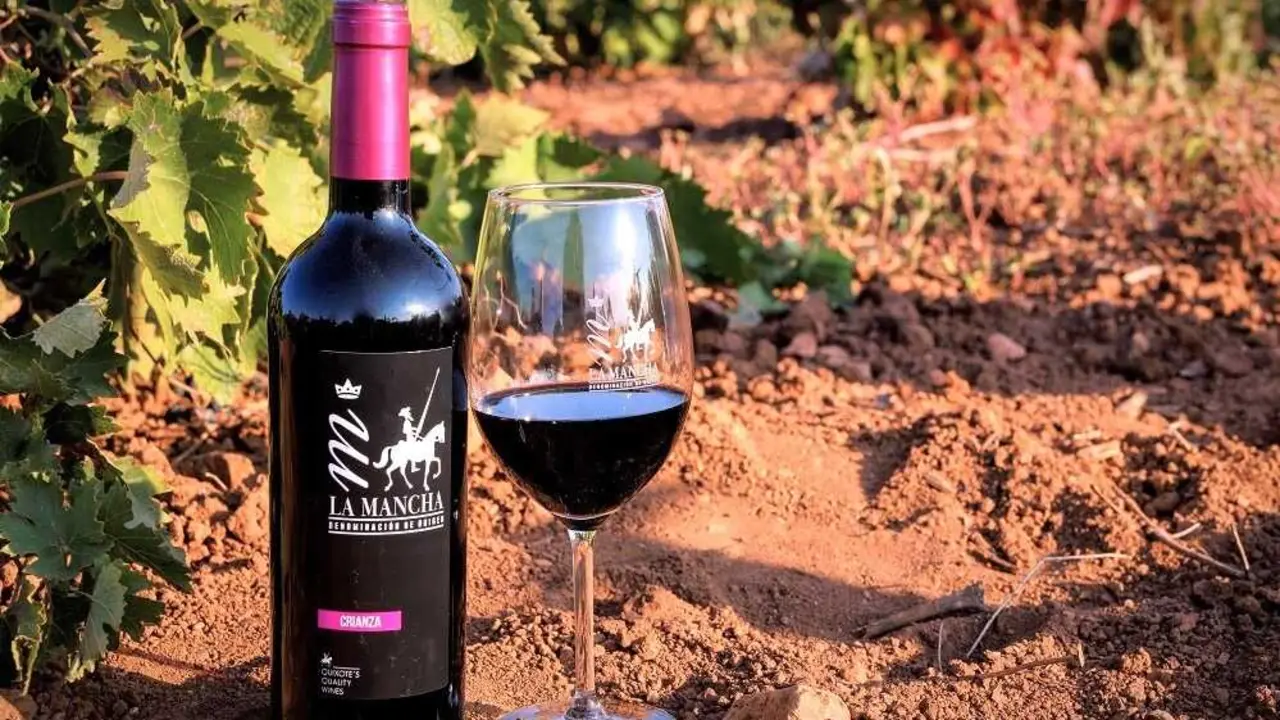 La DO La Mancha vendi&oacute; en el primer semestre un 19% m&aacute;s que el a&ntilde;o anterior, vino denominaci&oacute;n de origen La Mancha