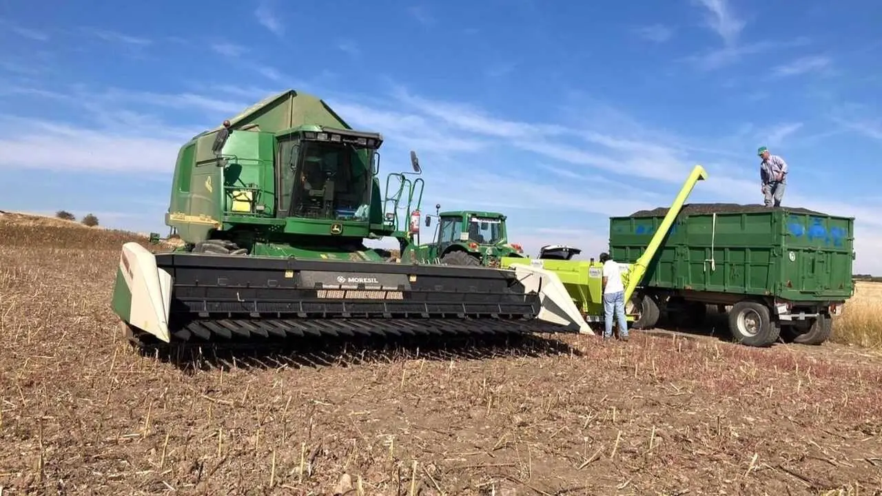 Castilla-La Mancha proh&iacute;be las labores agr&iacute;colas entre las 12 y las 22 horas, cosechadora, maquinar&iacute;a agr&iacute;cola, cereal, cosecha, PAC, agricultura, pol&iacute;tica agraria com&uacute;n, tractor, campo, ma&iacute;z, agricultores,&nbsp;