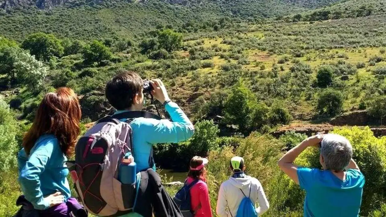 Castilla-La Mancha cierra 2022 con 647.990 viajeros y 1.754.966 pernoctaciones extrahoteleras, turismo rural, turistas, viajeros, alojamientos rurales, excursionistas,&nbsp;