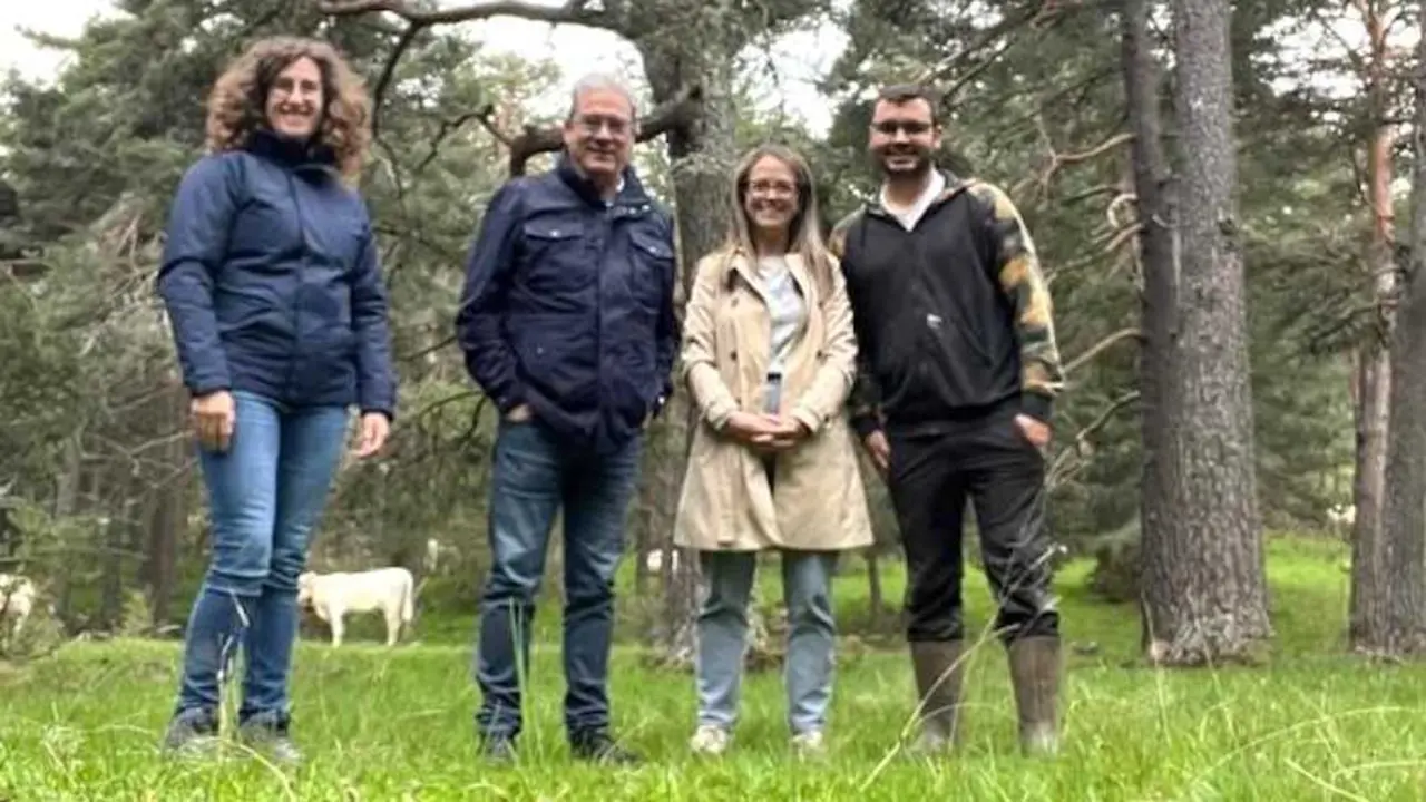 Castilla-La Mancha aumenta un 30% las ayudas por ataques de necr&oacute;fagas y lobos