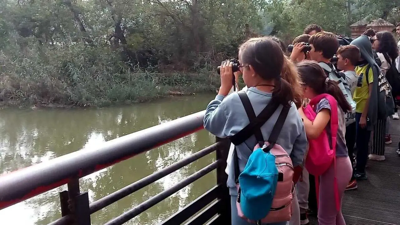 Los colegios recibir&aacute;n ayudas al transporte para visitar centros de educaci&oacute;n ambiental