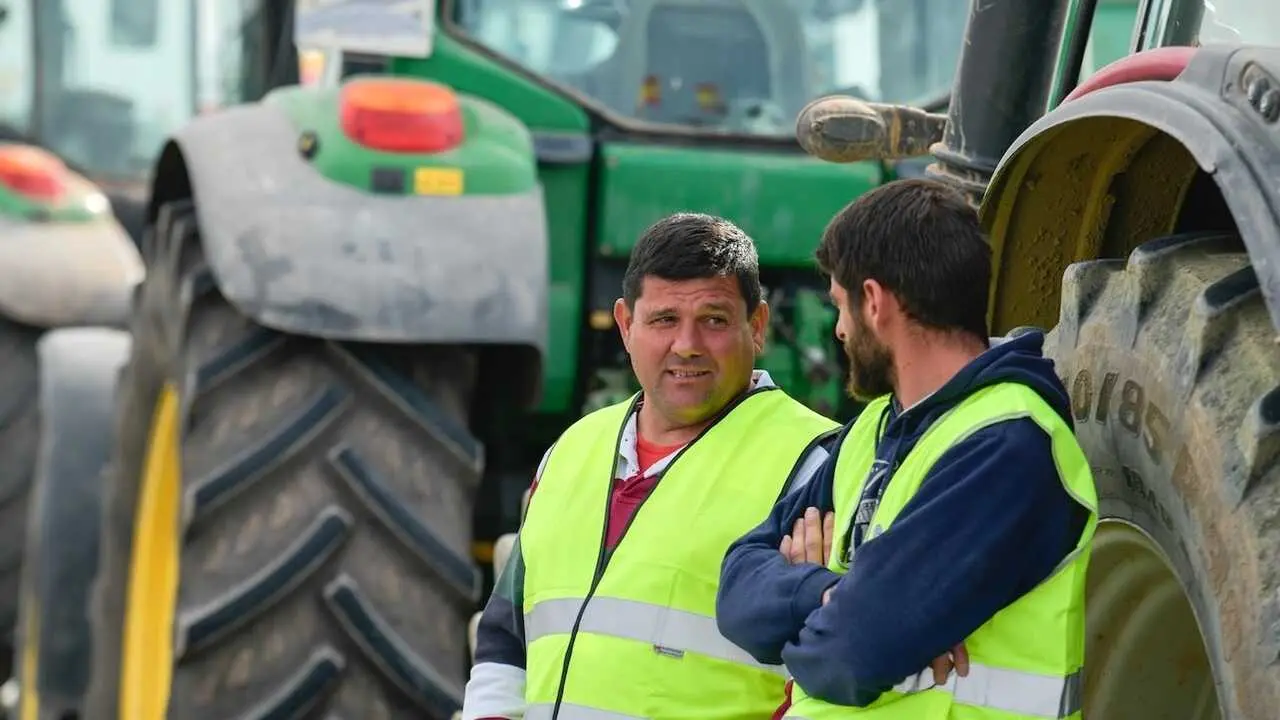 La mitad de agricultores de Castilla-La Mancha no tienen tierras, ni granjas ni tractores