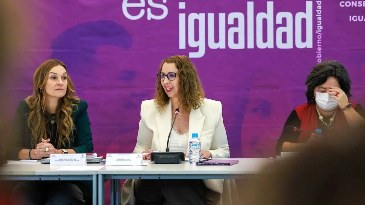 La consejera de Igualdad, Sara Sim&oacute;n, preside, el Consejo Regional de la Mujer en la sede del Archivo Regional de Castilla-La Mancha