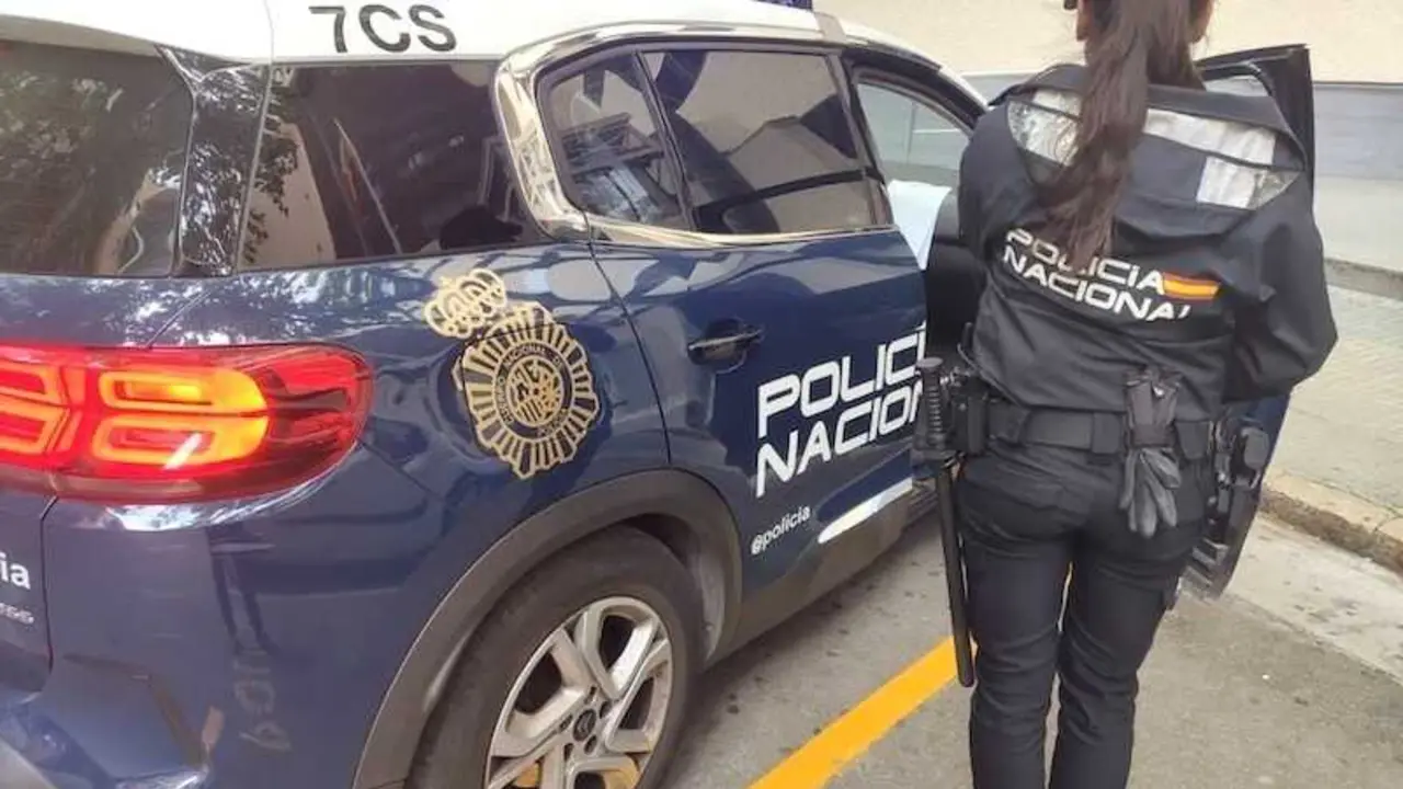 detenido, polic&iacute;a nacional, detenida, agente, patrulla