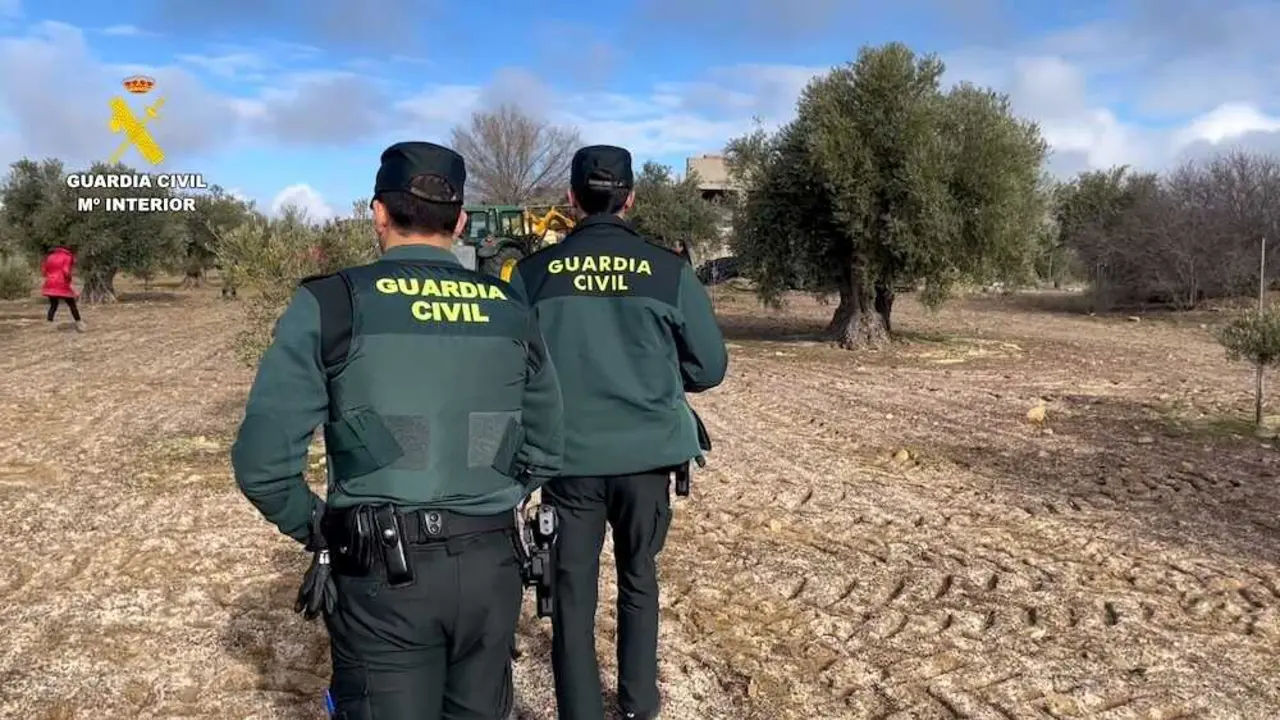 La Guardia Civil despliega 350 operativos en la campa&ntilde;a de la aceituna en Toledo