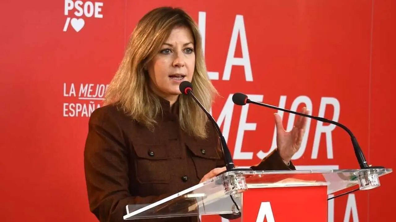 La portavoz del PSOE en las Cortes de Castilla-La Mancha, Ana Isabel Abeng&oacute;zar, durante la rueda de prensa que ha ofrecido en Alc&aacute;zar de San Juan (Ciudad Real)