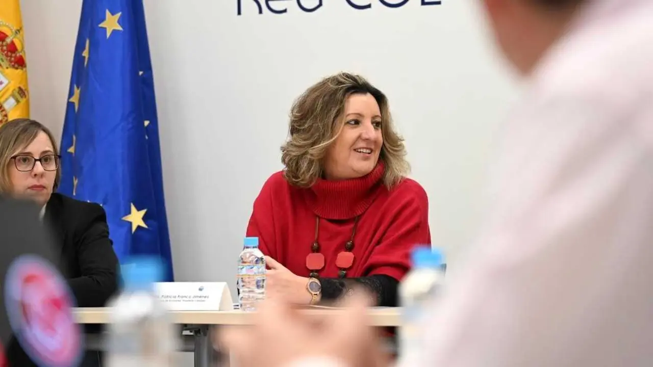 La consejera de Econom&iacute;a, Empresas y Empleo, Patricia Franco, ha presidido este mi&eacute;rcoles la reuni&oacute;n del Consejo Social del Centro de Orientaci&oacute;n, Emprendimiento, Acompa&ntilde;amiento e Innovaci&oacute;n para el Empleo (COE)