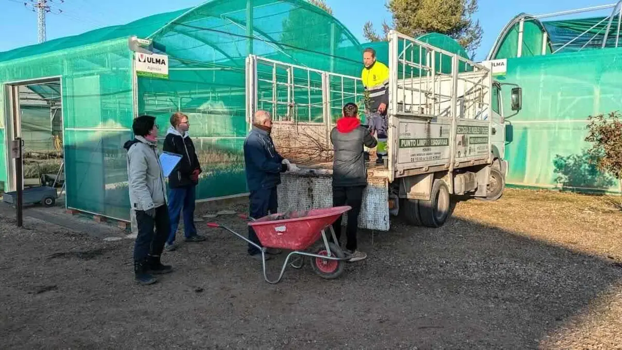 25.000 &aacute;rboles y arbustos para reforestar 227 entidades de Toledo