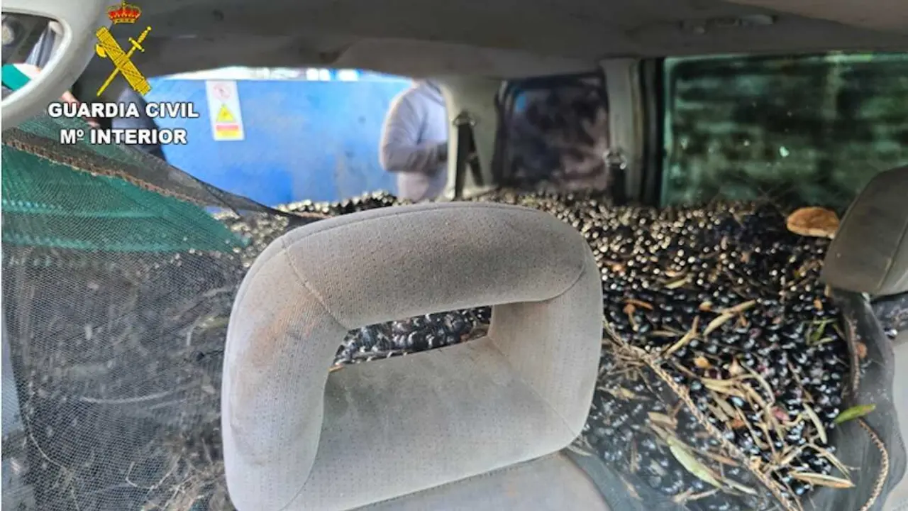 La Guardia Civil incauta 1.800 kg de aceituna en Malag&oacute;n y Villarrubia